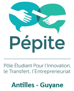 Logo Pépite Antilles-Guyane