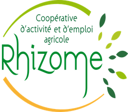 Rhizome