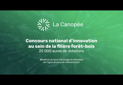 La canopée