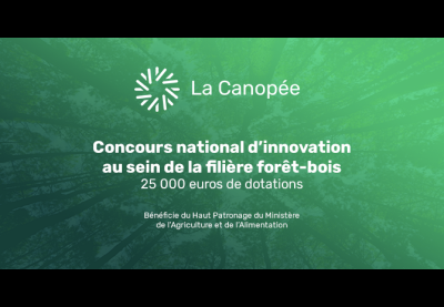 La canopée