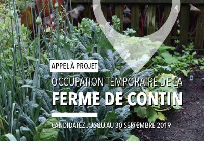 Photo manifestation