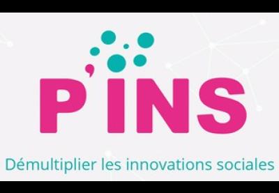 Logo : Programme P'INS