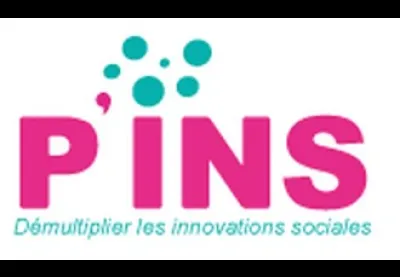 Logo : Appel à projets P'INS 2018