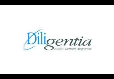 Logo : Diligentia