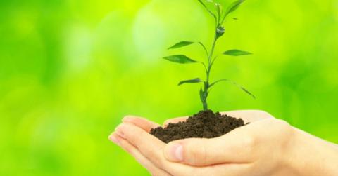 Une nouvelle aide pour accélérer la transition écologique des artisans, commerçants et indépendants