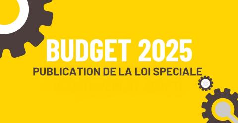 Budget 2025