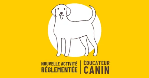 éducateur canin