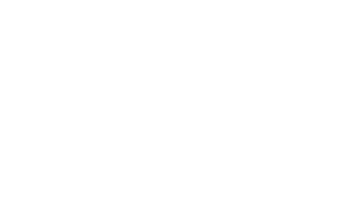 PULSE
