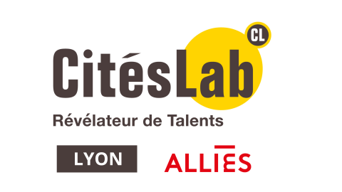 Association Lyonnaise pour L'Insertion Économique et Sociale/ Maison Lyon pour l'Emploi