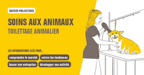 Dossier Projecteurs Soins aux animaux