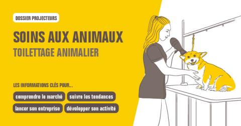 Dossier Projecteurs Soins aux animaux