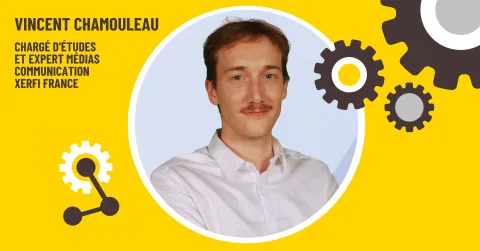 visuel vincent chamouleau