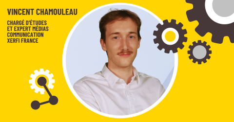 visuel vincent chamouleau