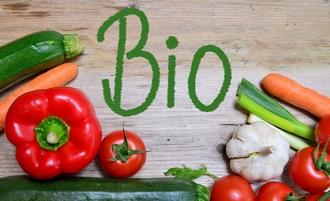 Bio