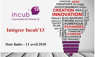 Logo : Incub'13