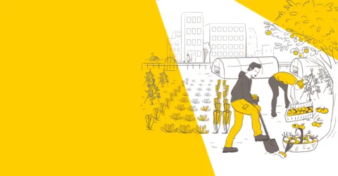 Dossier Projecteurs Agriculture urbaine