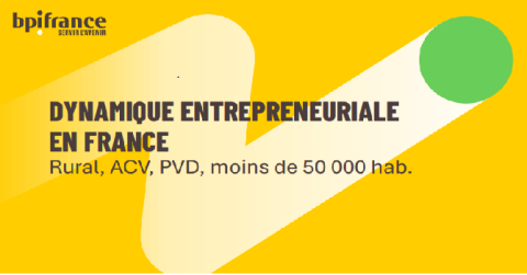 Dynamique entrepreneuriale en France