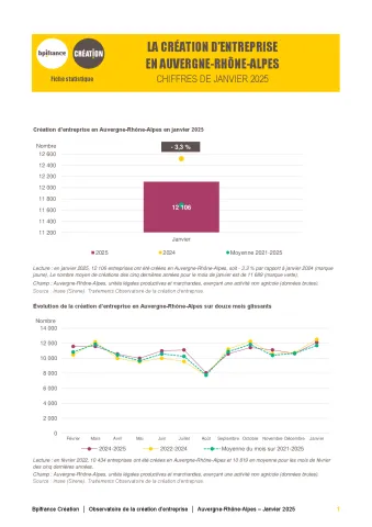 La création d'entreprise en Auvergne-Rhône-Alpes en janvier 2025