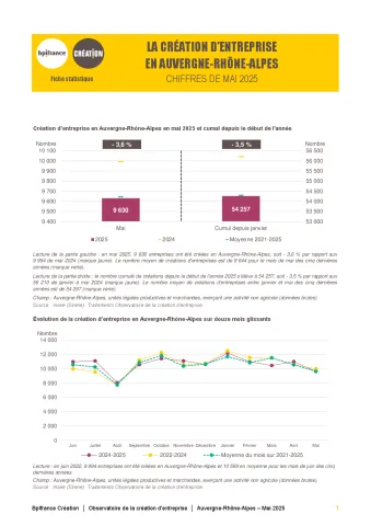 La création d'entreprise en Auvergne-Rhône-Alpes en mai 2025