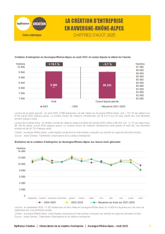 La création d'entreprise en Auvergne-Rhône-Alpes en août 2025