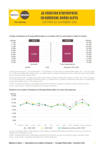 La création d'entreprise en Auvergne-Rhône-Alpes en novembre 2025