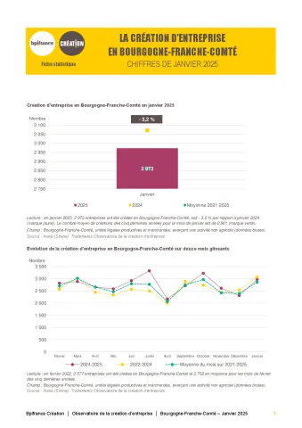 La création d'entreprise en Bourgogne-Franche-Comté en janvier 2025