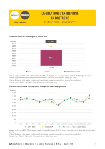 La création d'entreprise en Bretagne en janvier 2025