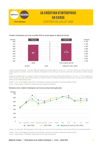 La création d'entreprise en Corse en juillet 2025