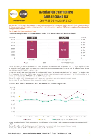La création d'entreprise dans le Grand Est en novembre 2024