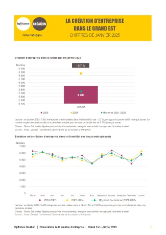 La création d'entreprise dans le Grand Est en janvier 2025