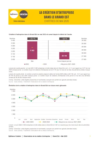La création d'entreprise dans le Grand Est en mai 2025