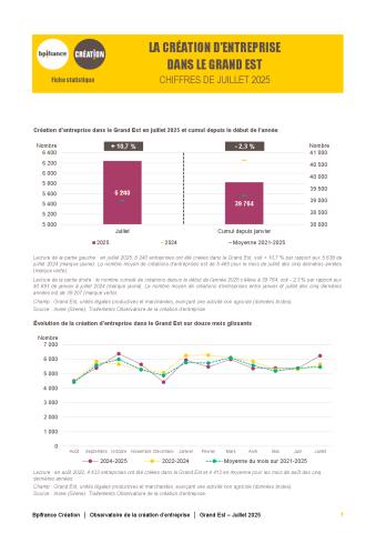 La création d'entreprise dans le Grand Est en juillet 2025