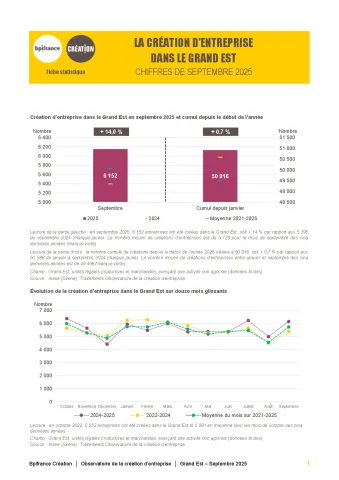 La création d'entreprise dans le Grand Est en septembre 2025