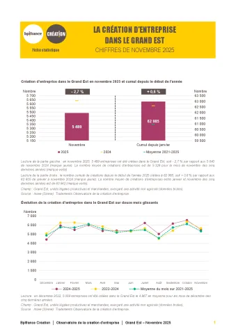 La création d'entreprise dans le Grand Est en novembre 2025