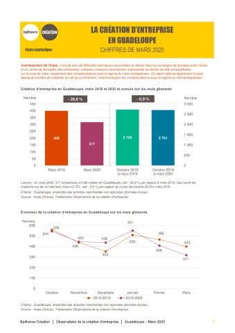 La création d'entreprise en Guadeloupe en mars 2020