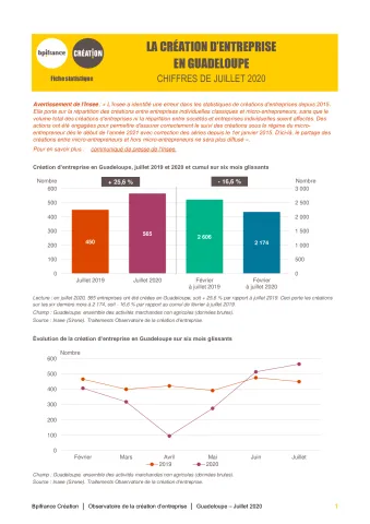 La création d'entreprise en Guadeloupe en juillet 2020