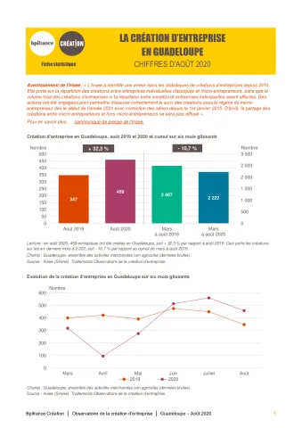 La création d'entreprise en Guadeloupe en août 2020