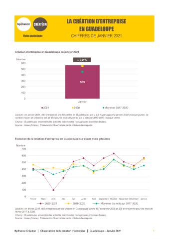 La création d'entreprise en Guadeloupe en janvier 2021