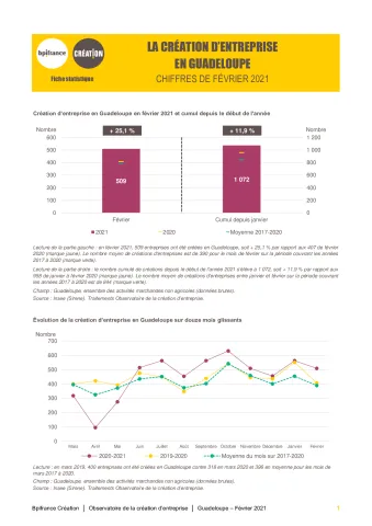 La création d'entreprise en Guadeloupe en février 2021