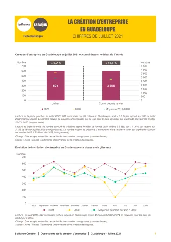 La création d'entreprise en Guadeloupe en juillet 2021