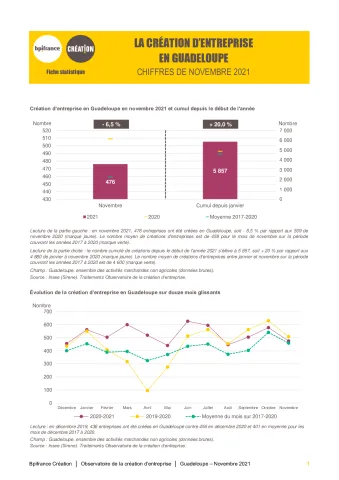 La création d'entreprise en Guadeloupe en novembre 2021
