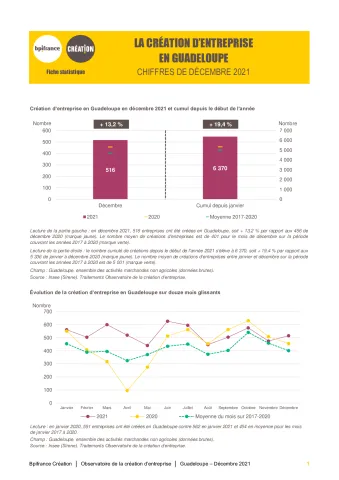 La création d'entreprise en Guadeloupe en décembre 2021