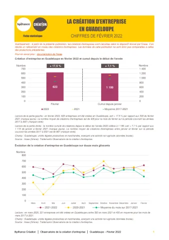 La création d'entreprise en Guadeloupe en février 2022