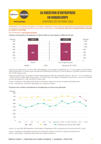 La création d'entreprise en Guadeloupe en février 2024