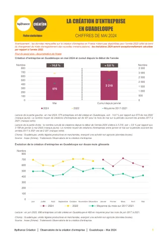 La création d'entreprise en Guadeloupe en mai 2024