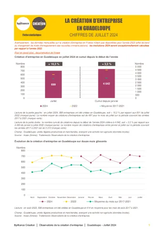 La création d'entreprise en Guadeloupe en juillet 2024
