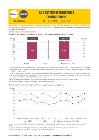 La création d'entreprise en Guadeloupe en octobre 2024