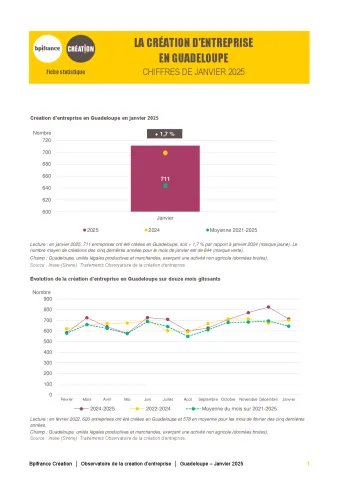 La création d'entreprise en Guadeloupe en janvier 2025