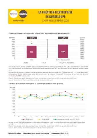 La création d'entreprise en Guadeloupe en mars 2025