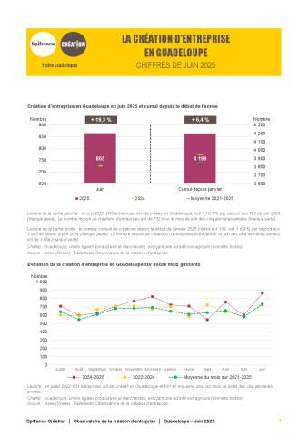 La création d'entreprise en Guadeloupe en juin 2025